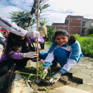 Plantation around Kathmandu Valley